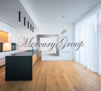 Elegant and modern town house  in Mezhapark