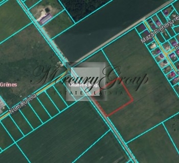 A land plot in Olaine district for sale!