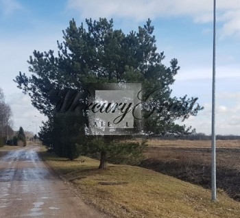 Land plot in Babite district, Egluciems for sale. The village is locat...