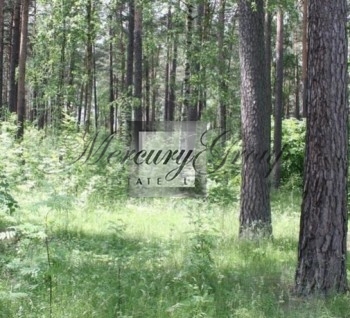 Wonderful landplot in Riga for sale